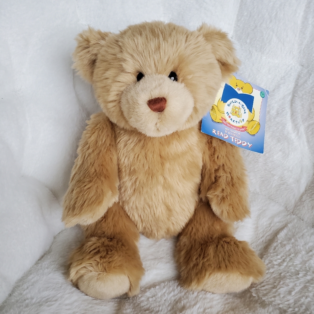 Build a Bear Read Teddy plush